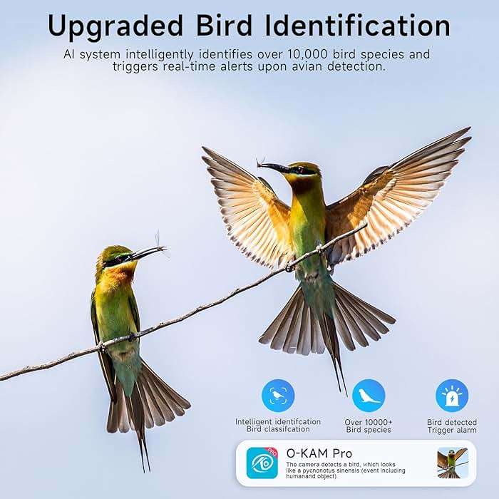 4PC 2.4G/5GHz WiFi Security Cameras Wireless Outdoor,2K Battery Home Security Camera with AI Detection,Siren, Surveillance Indoor Home Camera, Color Night Vision,2-Way Talk,IP65, Cloud/SD, Works Alexa - Image 9