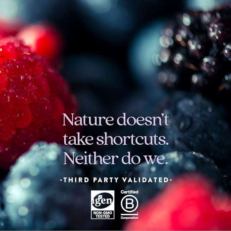 New Chapter Liquid Multivitamin + Mineral Supplement for Whole-Body Benefits, 100% Delicious Multivitamin for Adults, Teens & Kids 2+, Ready to Absorb Faster, Mixed Berry Flavored, 30 oz - Image 7