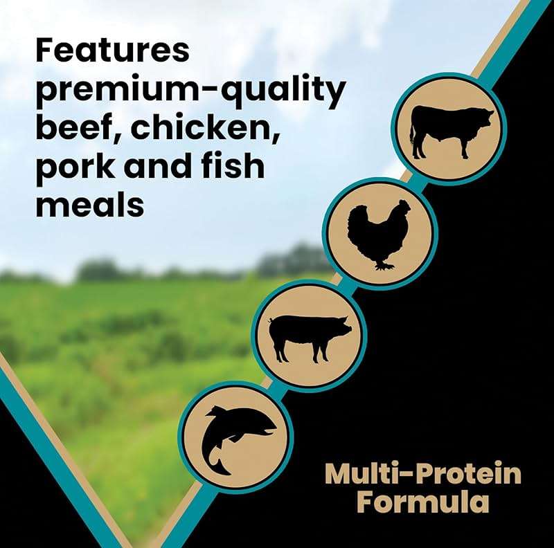 VICTOR Super Premium Dog Food – Hi-Pro Plus Dry Kibble – High Protein Dog Food with 30% Protein – Beef, Chicken, Pork, Fish Meals, Gluten Free - for High Energy and Active Dogs & Puppies, 30lbs - Image 6