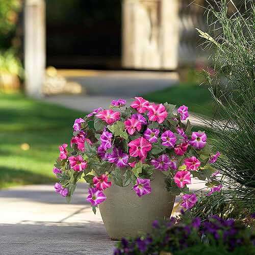 Artificial Fake Flowers Plants for Outdoor Decoration, 2PCS Faux Petunias Silk Flower UV Resistant No Fade Floral for Home Outside Garden Balcony Yard Porch Realistic Indoor Decor (Fuchsia Lotus) - Image 9