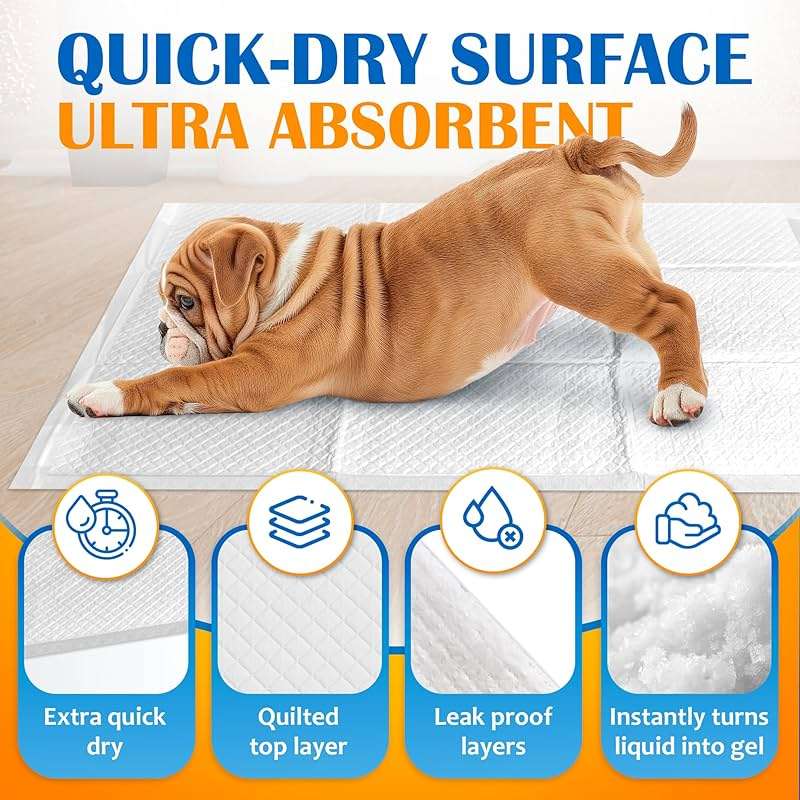 Paws & Claws Premium Disposable Dog & Puppy Pee Pads – Small 17"x20", 50 Count – 6-Layer Leak‑Proof, Super Absorbent (Holds 4 Cups), Quick‑Drying – for Small Dogs, Puppies, Seniors & Potty Training - Image 6