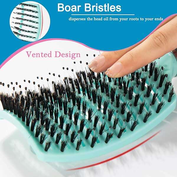 TaiBest Boar Bristle Hair Brush Set - Dry/Wet Detangler for Fine, Thick, Curly Hair - Curved and Vented Brush for Women, Men or Kids (Purple & Green) - Image 3