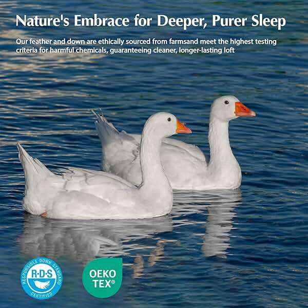 Pacific Coast Goose Feather Down Fiber Comforters Queen Size, Extra Fluffy White Duvet Insert, Ultra-Soft, Breathable, All Season Hotel Luxury Bedding Comforters, 8 Corner & Center Loops (90"x90") - Image 4