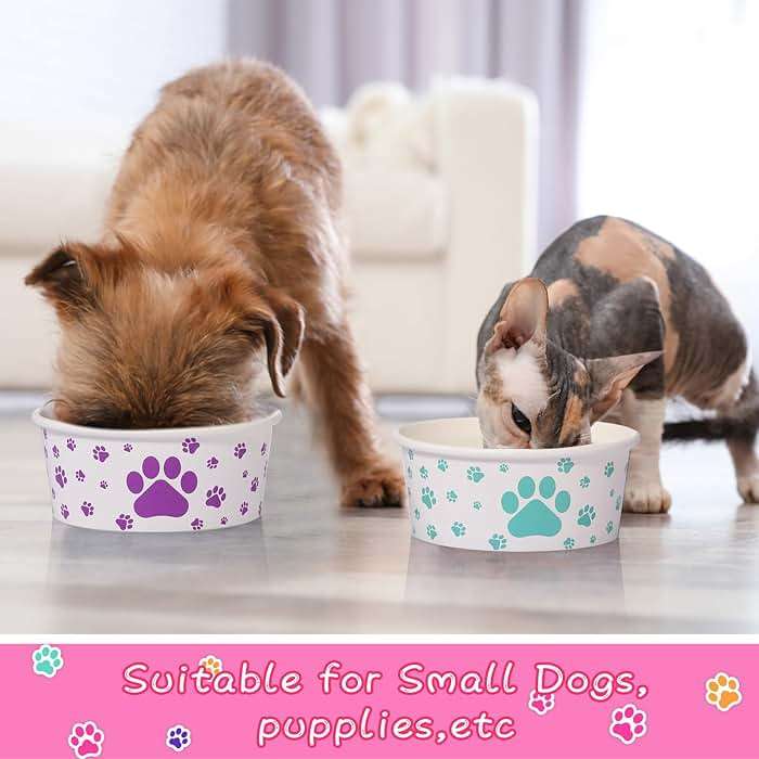 Mifoci 40 Pieces Disposable Pets Bowls 12 oz Colorful Paper Dog Bowls Cute Foot Print Design Food Dishes for Feeding Dogs and Cats Puppies Travel Wet Dry Food Water - Image 5
