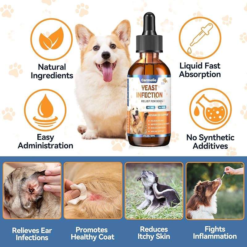 Natural Yeast Relief for Dogs, Supports Healthy Itch Relief, Dog Ear Discomfort Care, Itch Relief for Dog, Allergy Supports, Inflammation Relief for Dogs, 60ml - Image 2