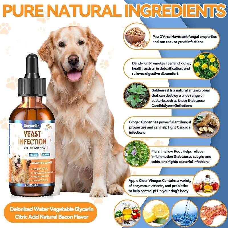 Natural Yeast Relief for Dogs, Supports Healthy Itch Relief, Dog Ear Discomfort Care, Itch Relief for Dog, Allergy Supports, Inflammation Relief for Dogs, 60ml - Image 4