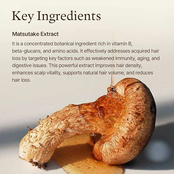 Morethan8 Korean Hair Thickening Shampoo with Matsutake mushroom, for Hair Loss and Hair growth – 300ml 100% Vegan, Paraben&Sulfate&Silicon Free - more than 8 - Image 5