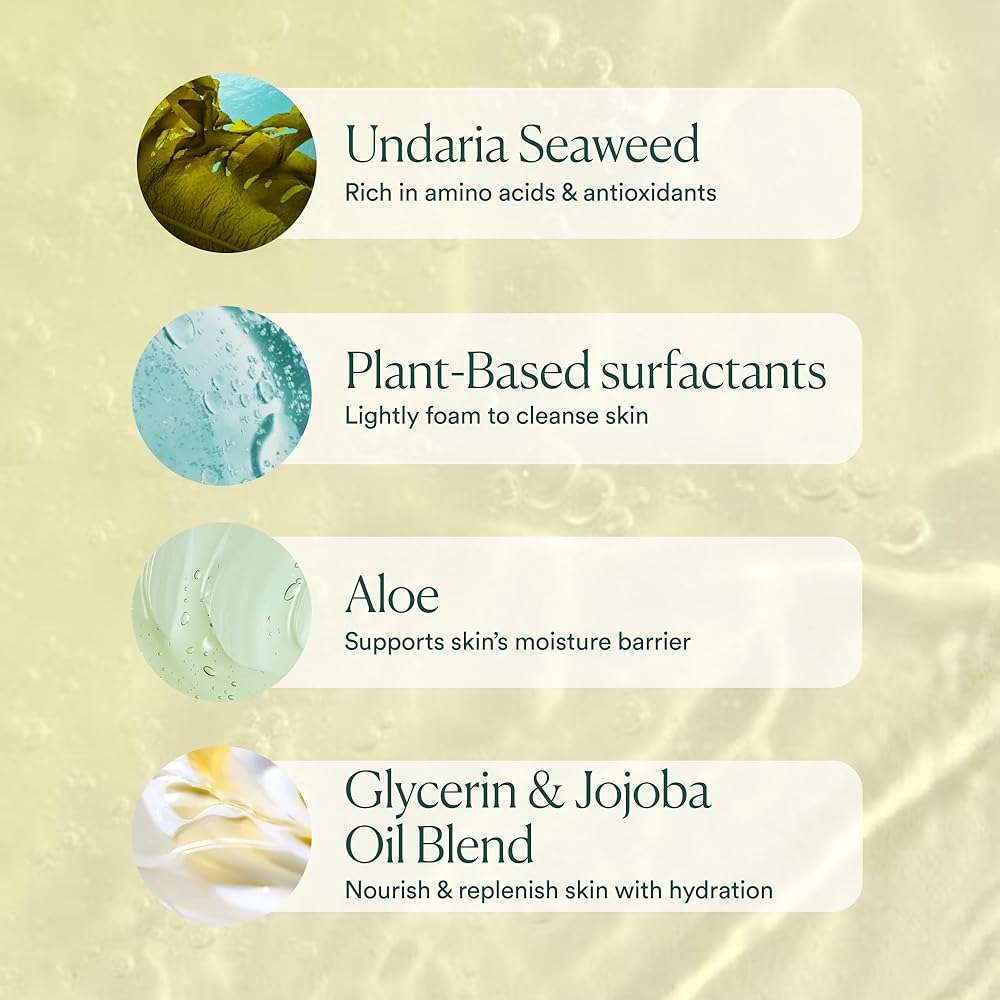 OSEA Undaria Algae™ Body Wash - pH Balanced - Hydrating & Moisturizing Citrus Scented Cleanser - Clean, Vegan, Non-Toxic Skincare - 8oz - Image 6