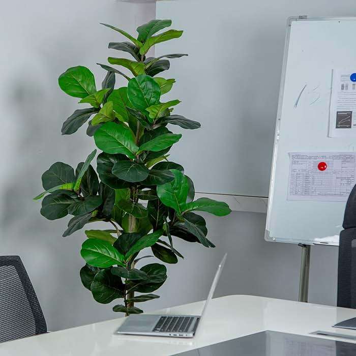 VIVATREES 6FT Fiddle Leaf Fig Artificial Tree with White Planter Pot,Faux Floor Plant, Indoor and Outdoor Fake Plants for Home Office Decor - Image 8