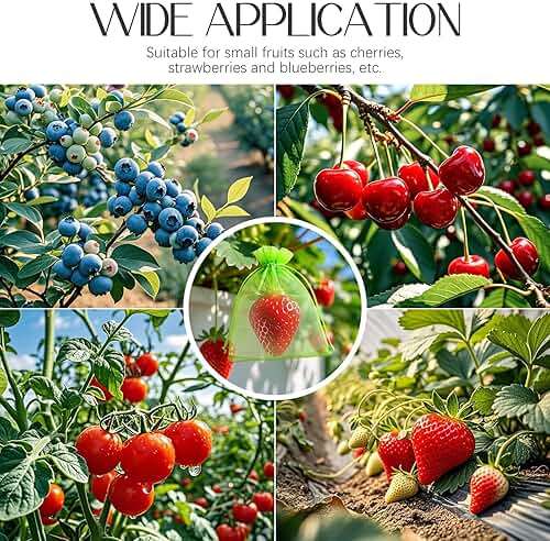 40 Pcs Fruit Protection Bags, 4x6 Inch Strawberry Bag Netting Cover, Tear Resistance Mesh Bags Drawstring, Pest Barrier Green Bags for Fruits & Vegetables, Blueberries, Cherry Tomatoes, Small Fruits - Image 5