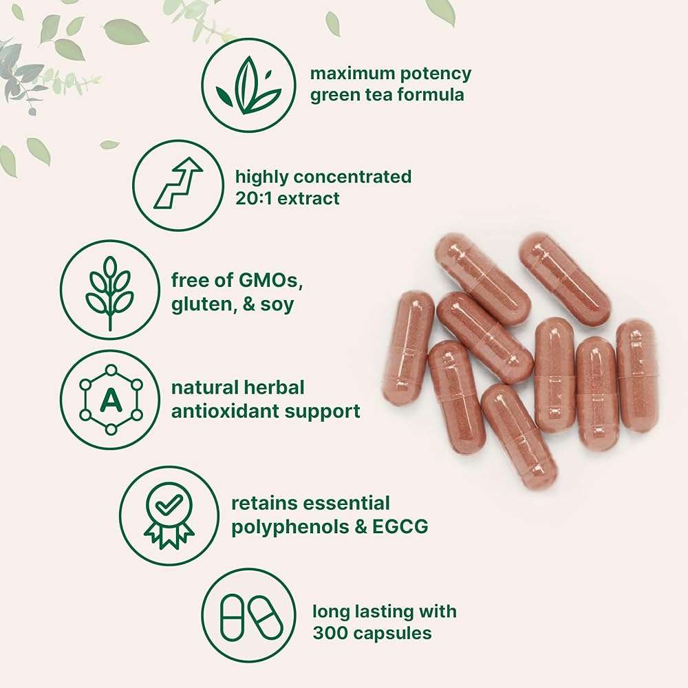 Micro Ingredients Extra Strength Green Tea Extract, 300 Capsules | 5 Month Supply | Maximum Potency Polyphenols Antioxidant Supplement for Skin, Energy, Brain & Heart Support* - Image 3