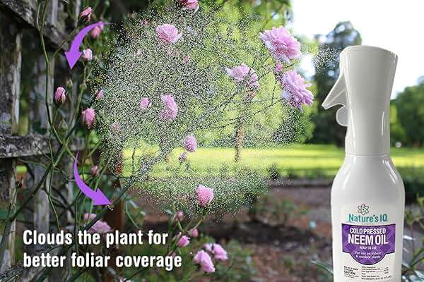 Nature's IQ Cold Pressed Neem Oil w/Spray Mist Technology. Indoor and Outdoor Plant Protection. Twin Pack - Image 3
