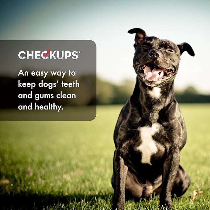 Checkups Dental Dog Treats for Oral Care, Fresh Breath & Plaque Control - 24 Treats, 48 oz. (2 Pack) - Delicious Chews for Happy and Healthy Dogs - Image 5