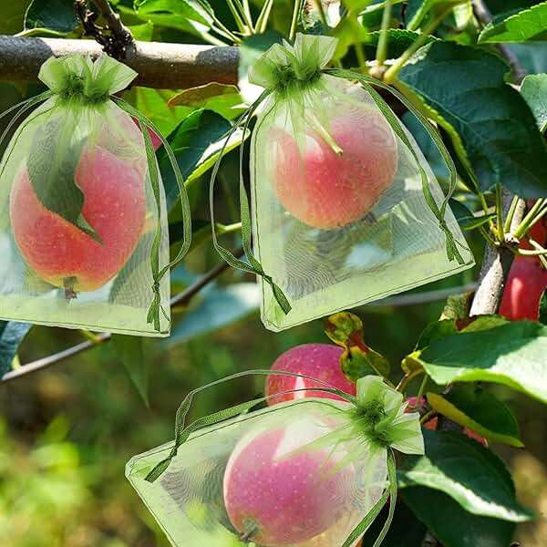 100 Pieces Green Fruit Protection Bags Fruit Protection Bags Fruit Netting Bags with Drawstring for Protecting Vegetable Net Cover Reusable Mesh Bag for Garden Apple Trees(15 * 20cm) - Image 2