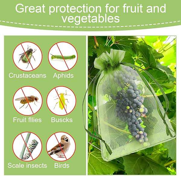 100 Pieces Green Fruit Protection Bags Fruit Protection Bags Fruit Netting Bags with Drawstring for Protecting Vegetable Net Cover Reusable Mesh Bag for Garden Apple Trees(15 * 20cm) - Image 7