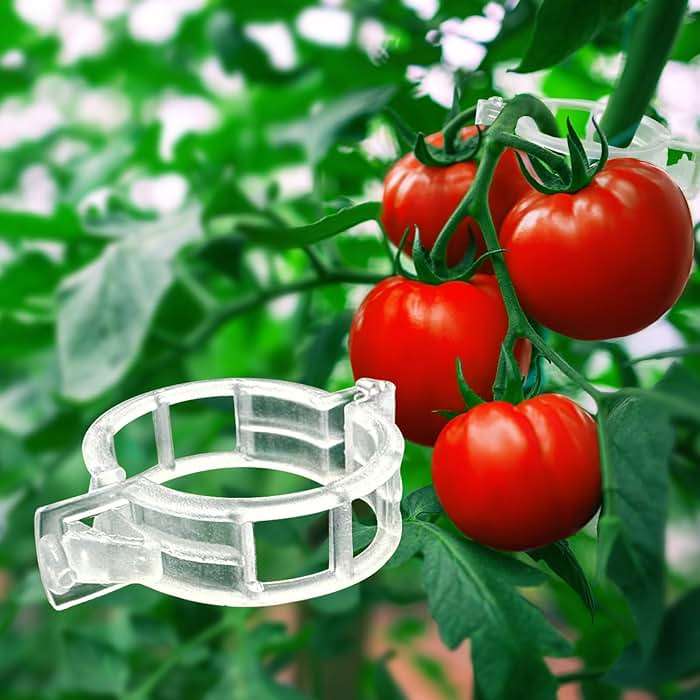 rinteria Tomato Clips for Climbing Plants 100 Pack, Plant Support Clips & Garden Clips for Vegetables Vine, Clear Reusable Plastic Plant Clips Indoor Outdoor Gardening - Image 1