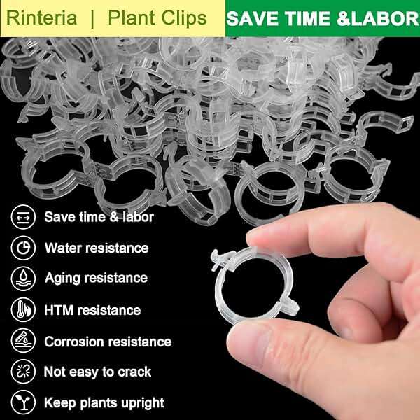 rinteria Tomato Clips for Climbing Plants 100 Pack, Plant Support Clips & Garden Clips for Vegetables Vine, Clear Reusable Plastic Plant Clips Indoor Outdoor Gardening - Image 3
