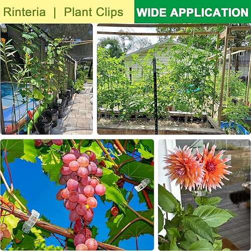 rinteria Tomato Clips for Climbing Plants 100 Pack, Plant Support Clips & Garden Clips for Vegetables Vine, Clear Reusable Plastic Plant Clips Indoor Outdoor Gardening - Image 5
