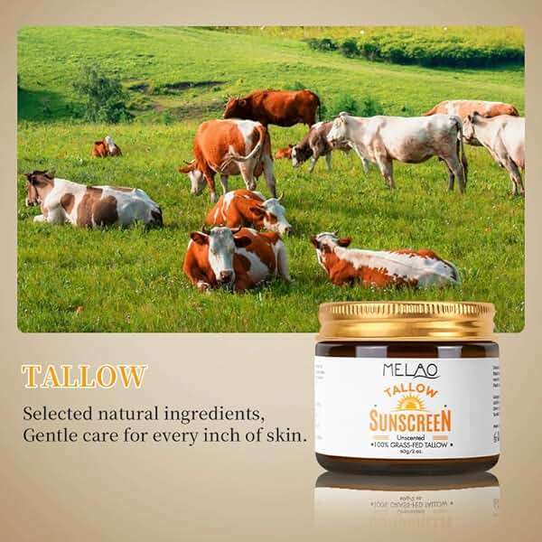 Beef Tallow Sunscreen SPF 50+ 100% Organic Grass-Fed Beef Tallow for Skin, face for women | Natural Sunscreen No Chemicals - Hyaluronic & Centella Sunscreen 60g*2pcs - Image 5