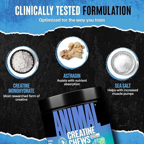 Animal Creatine Chews – Enhanced Creatine Monohydrate Chewable Tablets with AstraGin & Sea Salt, Max Absorption Pre Post-Workout, Lean Muscle Growth, Strength & Recovery, New Flavor Candy Crush’d - Image 5