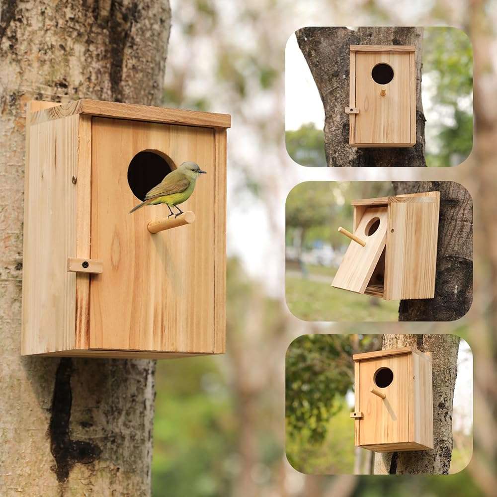 2 Pack Bird Houses for Outside, Wooden Birdhouse Kit with Front Clean-Out Door, Solid Wood Outdoor Nesting Box for Backyard Birdwatching - Image 5