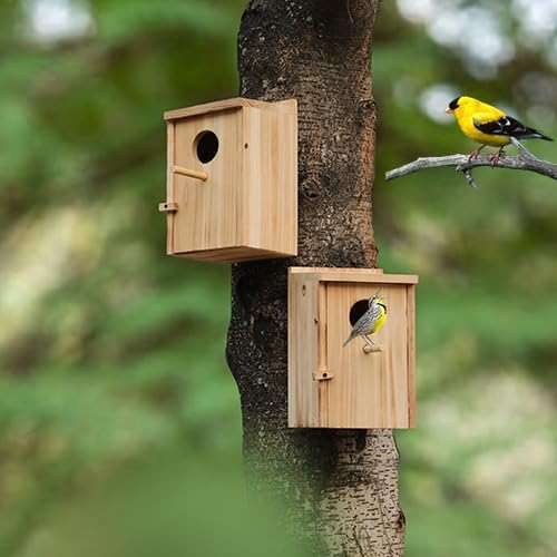 2 Pack Bird Houses for Outside, Wooden Birdhouse Kit with Front Clean-Out Door, Solid Wood Outdoor Nesting Box for Backyard Birdwatching - Image 6