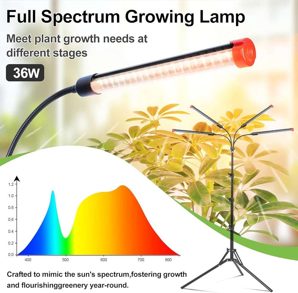 FRGROW 4Head Grow Light with Stand for Tall Indoor Plants, Bonsai Tree, Bright Full Spectrum Plant Growing Lamps, 4/8/12/16/20H Timer, 36 Watt Power Draw, NO Need Adapter, 360° Gooseneck - Image 2