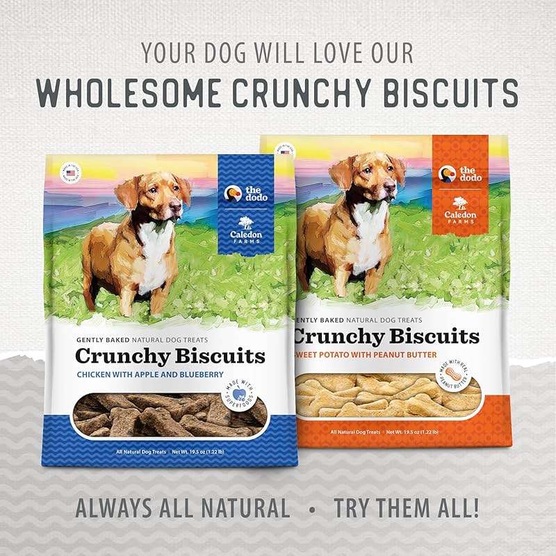 Caledon Farms The Dodo Crunchy Biscuits - Chicken with Apple & Blueberry 19.5oz, Dog Treats, Biscuits - Image 12