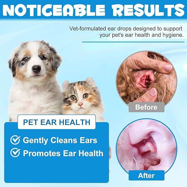 SDJUFEI Dog Ear Infection Treatment Drops, with 1% Hydrocortisone, Ear Yeast Infection Treatment for Dogs and Cats, Dog Ear Drops for Yeast Infection, Dog Ear Infection Drops for Itchy Ear Relief - Image 6