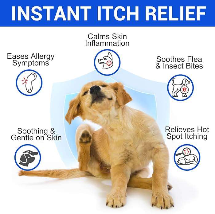 ALIVO Hydrocortisone Spray for Dogs & Cats - Itch Relief Spray & Hot Spot Treatment for Dogs, Supports Irritated Dry Itchy Skin & Skin Allergies, Skin Infections & Irritations Relief - 120ml / 4 oz - Image 3