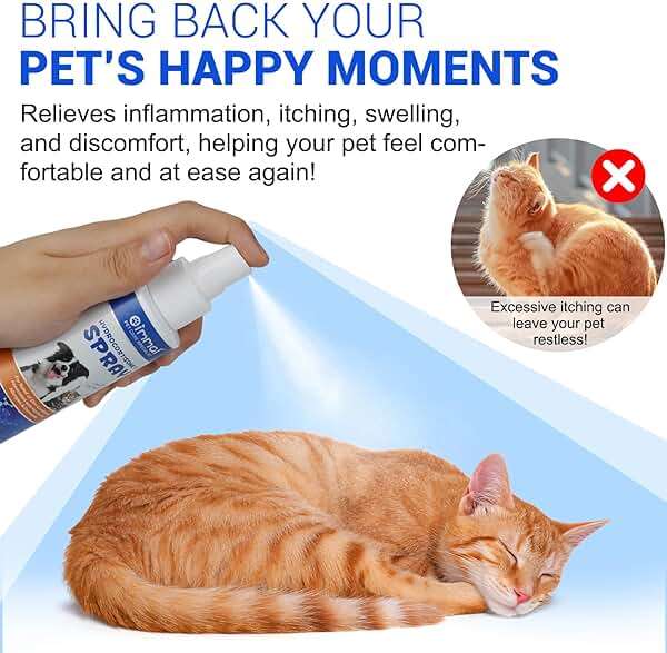 ALIVO Hydrocortisone Spray for Dogs & Cats - Itch Relief Spray & Hot Spot Treatment for Dogs, Supports Irritated Dry Itchy Skin & Skin Allergies, Skin Infections & Irritations Relief - 120ml / 4 oz - Image 6