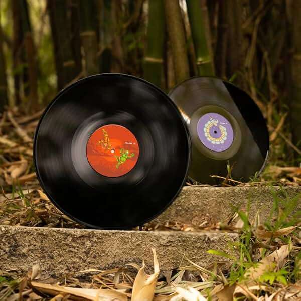 The Messenger 2xLP Reissue - Image 3