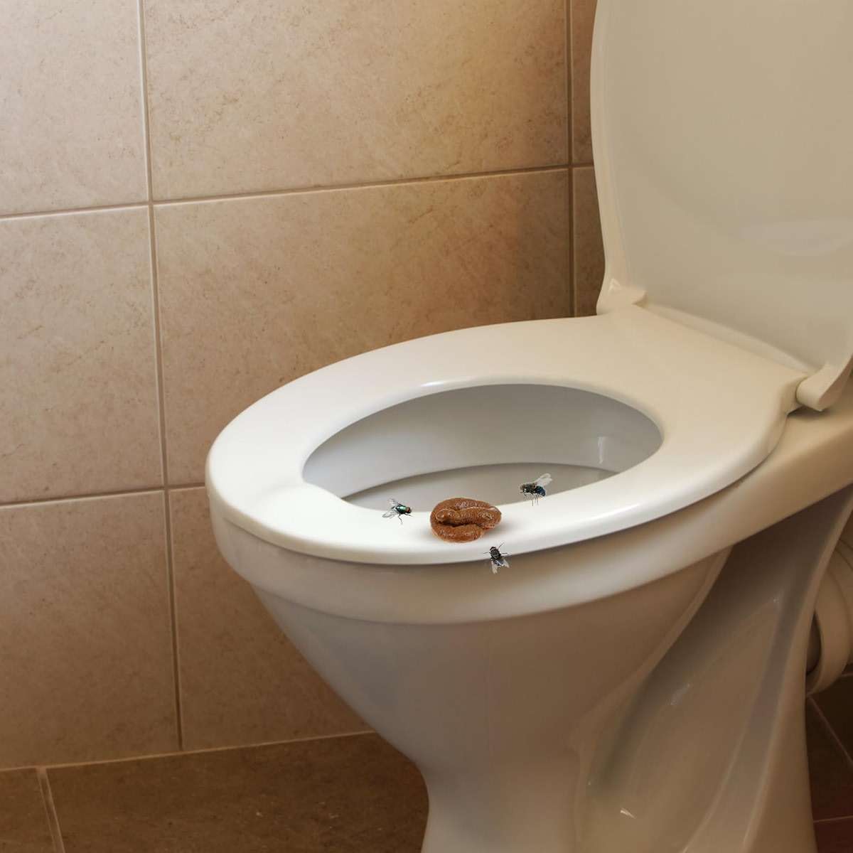 Chivao 7 Pieces Fake Poo Realistic Fake Turd Prank Lifelike Poo Toy Gags and Practical Joke Toys for April Fools' Day Prank Party Supplies (Fresh) - Image 5