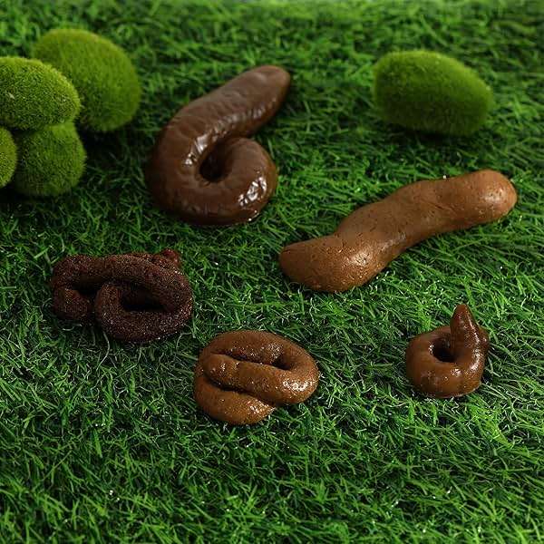 Chivao 7 Pieces Fake Poo Realistic Fake Turd Prank Lifelike Poo Toy Gags and Practical Joke Toys for April Fools' Day Prank Party Supplies (Fresh) - Image 6