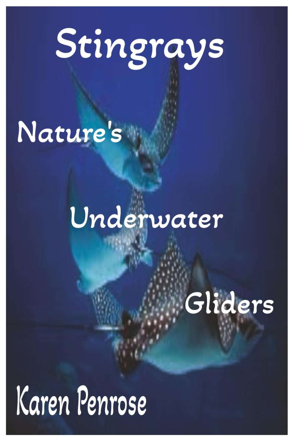 Stingrays: Nature's Underwater Gliders: A Kid's Guide to Stingrays /Marine Life and Biology / Ocean Animals and Conservation / Science / Educational - Image 1