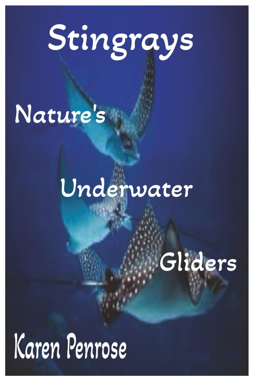 Stingrays: Nature's Underwater Gliders: A Kid's Guide to Stingrays /Marine Life and Biology / Ocean Animals and Conservation / Science / Educational - Product Image
