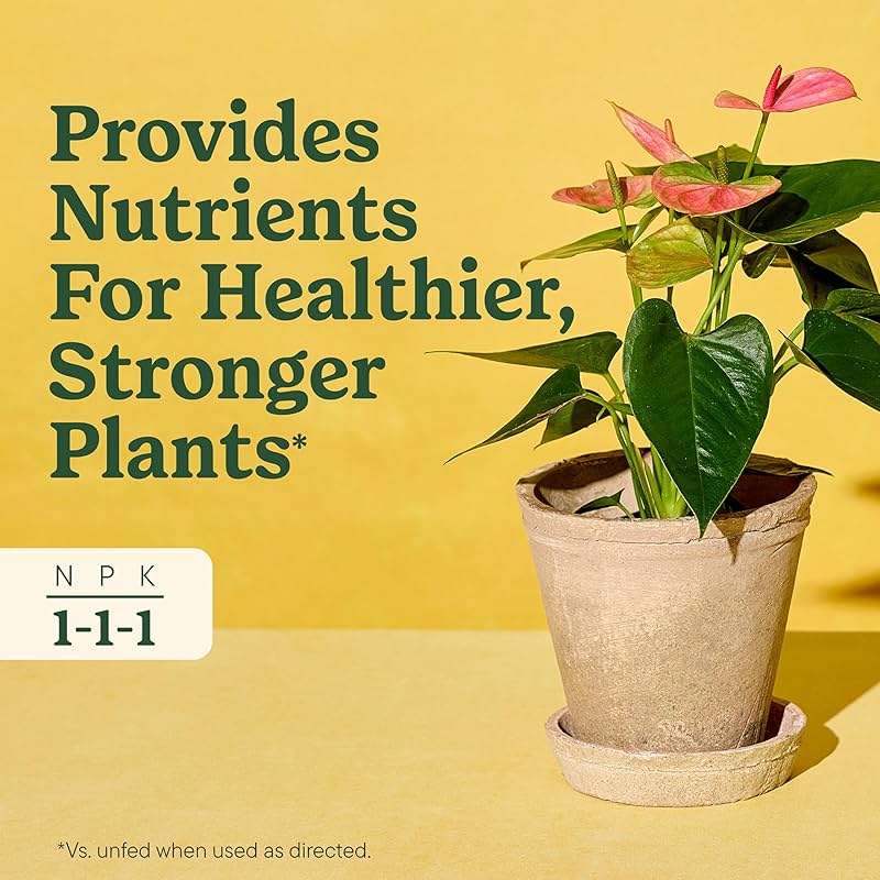 Miracle-Gro Indoor Plant Food for All Plants, Liquid Plant Food for Houseplants, Flowers, Vegetables, Herbs, and More, 8 fl. oz., 2-Pack - Image 4