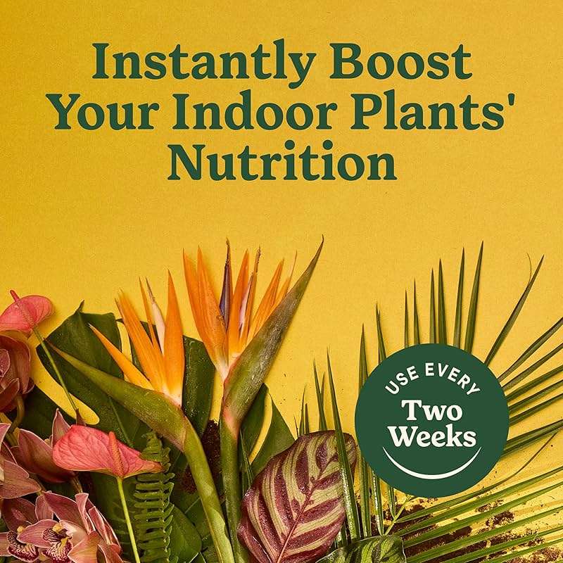 Miracle-Gro Indoor Plant Food for All Plants, Liquid Plant Food for Houseplants, Flowers, Vegetables, Herbs, and More, 8 fl. oz., 2-Pack - Image 7