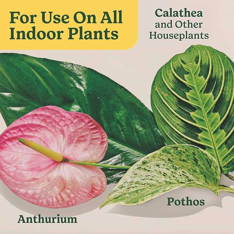 Miracle-Gro Indoor Plant Food for All Plants, Liquid Plant Food for Houseplants, Flowers, Vegetables, Herbs, and More, 8 fl. oz., 2-Pack - Image 9