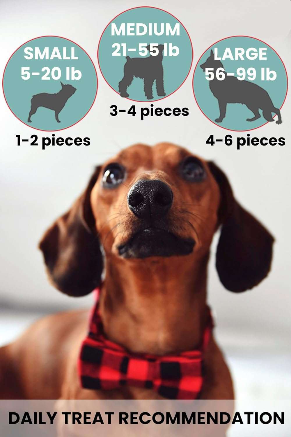 Loyal Paws Freeze Dried Bison Liver Dog Treats, Single Ingredient, USA Made, High Protein, Grain Free, All Natural, High-Value Training Treats for Dogs, 6 oz - Image 5