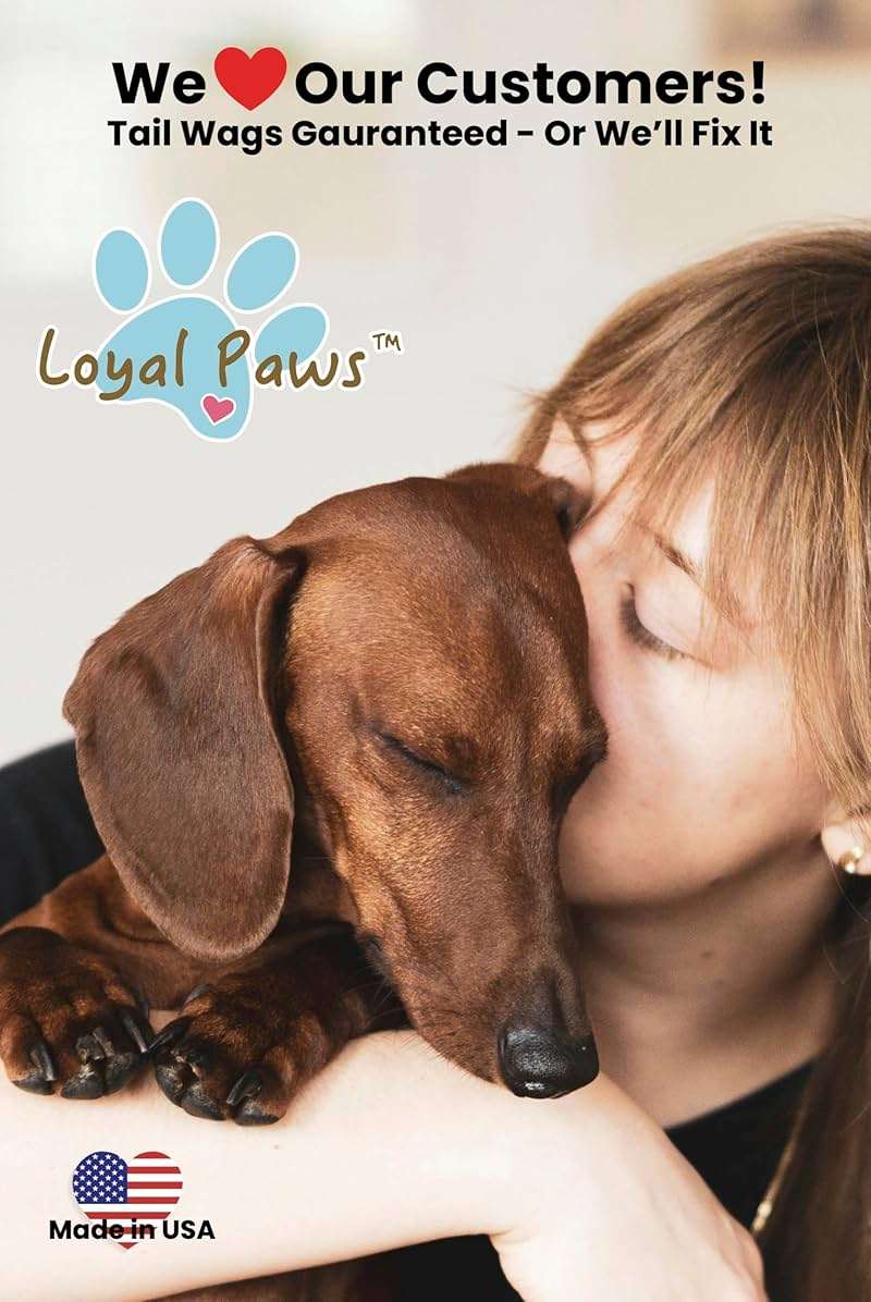 Loyal Paws Freeze Dried Bison Liver Dog Treats, Single Ingredient, USA Made, High Protein, Grain Free, All Natural, High-Value Training Treats for Dogs, 6 oz - Image 8