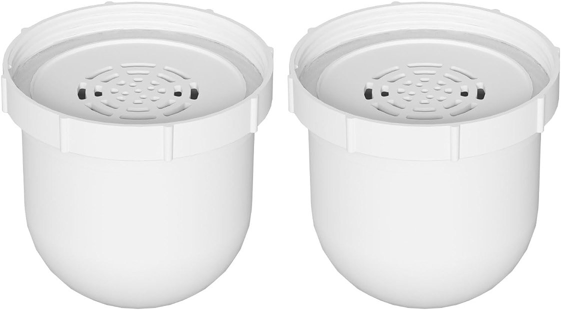 Water Pitcher Replacement Filter Compatible with Clearly Filtered Water Filter Pitcher, 100-Gallon Long-Life, BPA Free 2 Pack - Product Image