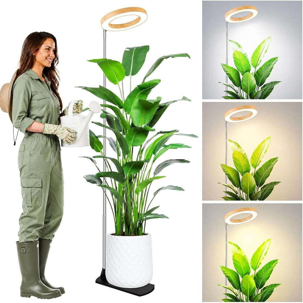 LBW Grow Lights for Indoor Plants, 6.3" Full Spectrum Plant Light with Base, 65" Height Adjustable Grow Lamp, 6/8/12/16H Auto Timer, 3 Colors, 5 Dimmable Levels, for Tall Large Plants, Bamboo Grain - Image 1